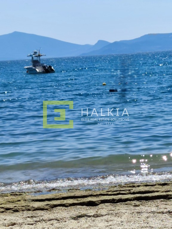 Οικόπεδο 703 τ.μ. πρός πώληση, Μαγνησία, Νέα Αγχίαλος
