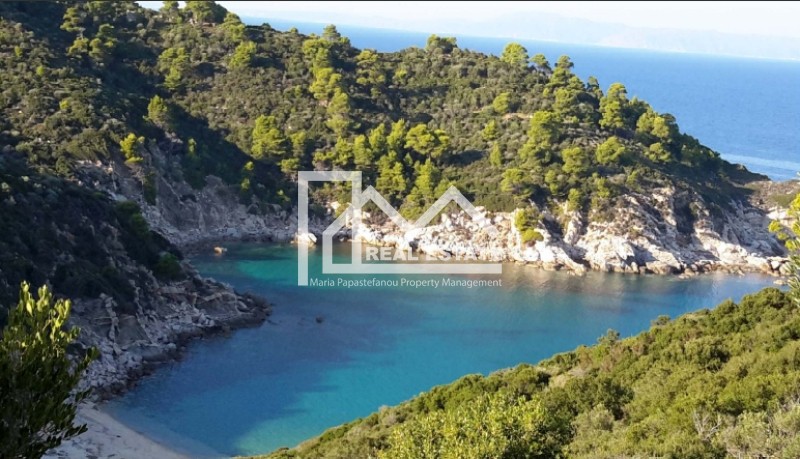 Αγροτεμάχια 25.500 τ.μ. προς πώληση, Σάρτη