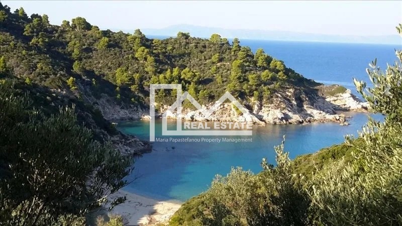 Αγροτεμάχια 25.500 τ.μ. προς πώληση, Σάρτη