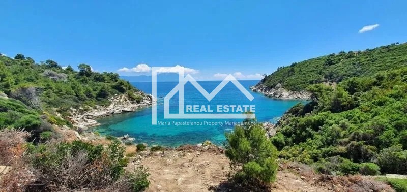 Αγροτεμάχια 25.500 τ.μ. προς πώληση, Σάρτη
