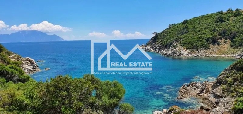 Αγροτεμάχια 25.500 τ.μ. προς πώληση, Σάρτη