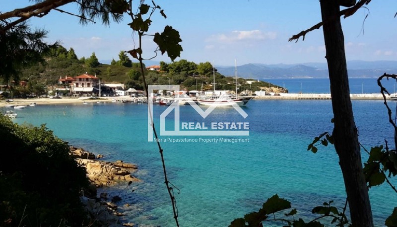 Αγροτεμάχια 25.500 τ.μ. προς πώληση, Σάρτη