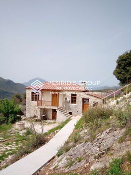 Μονοκατοικία 90τ.μ. για ενοικίαση-Ευρυμένοι » Δελβινακόπουλο