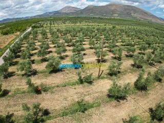 Αγροτεμάχια 50.000 τ.μ. για πώληση, Αργολίδα, Άργος-thumb-6