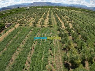 Αγροτεμάχια 50.000 τ.μ. για πώληση, Αργολίδα, Άργος-thumb-17