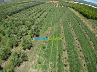 Αγροτεμάχια 50.000 τ.μ. για πώληση, Αργολίδα, Άργος-thumb-9