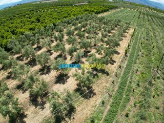 Αγροτεμάχια 50.000 τ.μ. για πώληση, Αργολίδα, Άργος-thumb-14
