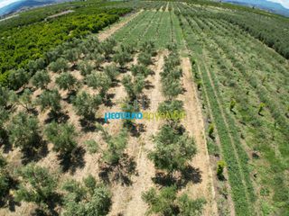 Αγροτεμάχια 50.000 τ.μ. για πώληση, Αργολίδα, Άργος-thumb-15