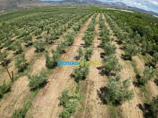 Αγροτεμάχια 50.000 τ.μ. για πώληση, Αργολίδα, Άργος-thumb-7
