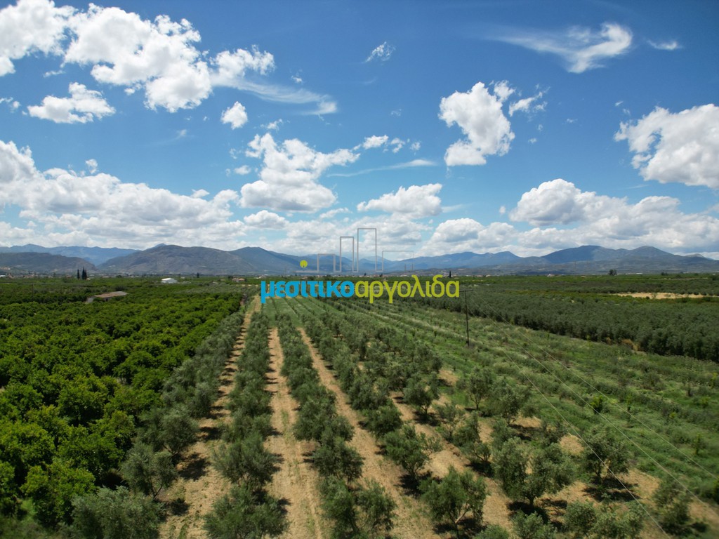 Αγροτεμάχια 50.000 τ.μ. προς πώληση, Ίναχος Άργους