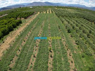 Αγροτεμάχια 50.000 τ.μ. για πώληση, Αργολίδα, Άργος-thumb-16