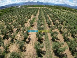 Αγροτεμάχια 50.000 τ.μ. για πώληση, Αργολίδα, Άργος-thumb-18