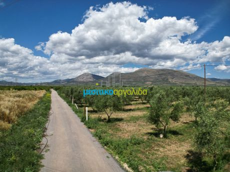 Αγροτεμάχια 50.000τ.μ. για πώληση-Άργος