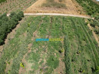 Αγροτεμάχια 50.000 τ.μ. για πώληση, Αργολίδα, Άργος-thumb-13