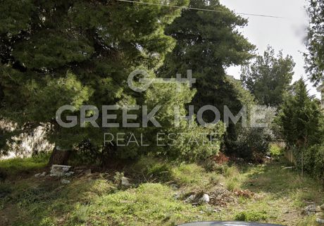 Οικόπεδο 306τ.μ. για πώληση-Χαλάνδρι » Άνω πάτημα