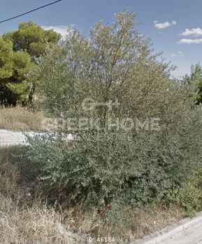 Οικόπεδο 210τ.μ. για πώληση-Βριλήσσια » Πάτημα βριλησσίων