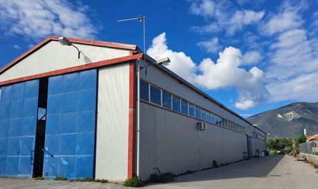 Βιομηχανικός χώρος 300τ.μ. για ενοικίαση-Ανθηδώνος