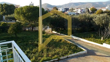 Οικόπεδο 1.500 τ.μ. για ενοικίαση