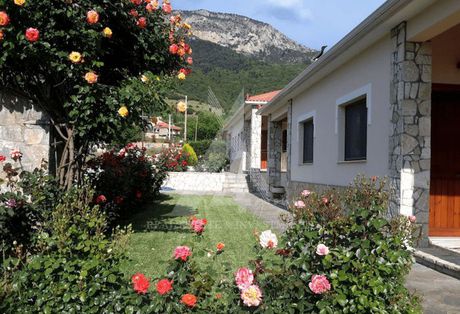 Ξενοδοχείο 316τ.μ. για πώληση-Φενεός