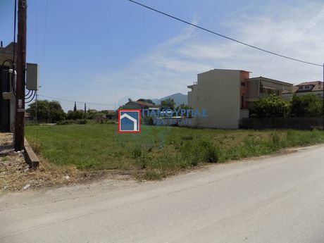 Οικόπεδο 1.513τ.μ. για πώληση-Γοργοπόταμος » Μοσχοχώρι