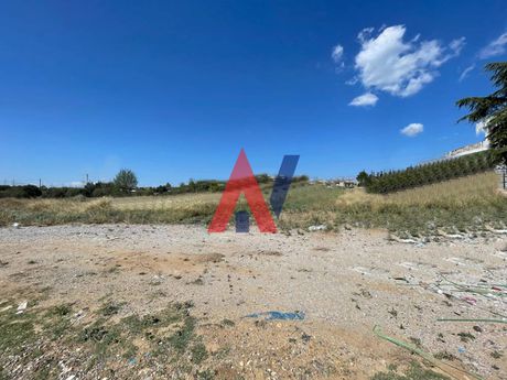 Αγροτεμάχια 10.500τ.μ. για πώληση-Κέντρο