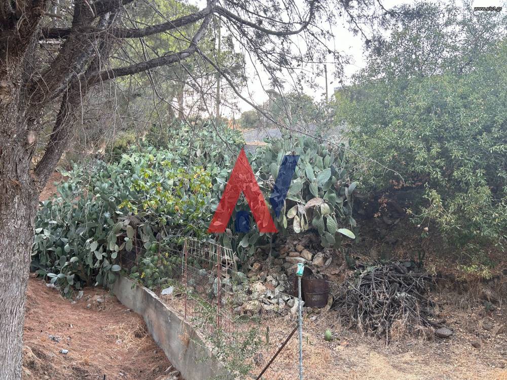 Οικόπεδο 3.300 τ.μ. πρός πώληση, Δωδεκάνησα, Λέρος