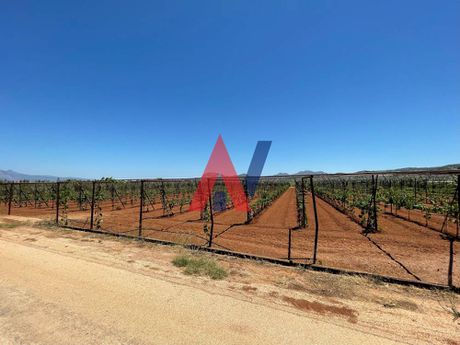 Land plot 7.870 sqm for sale