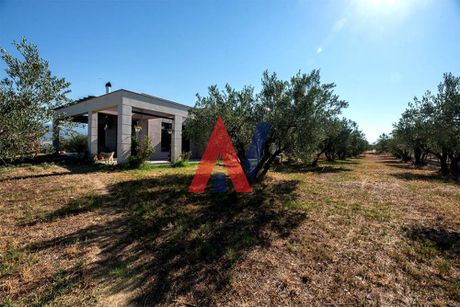 Detached home 412 sqm for sale