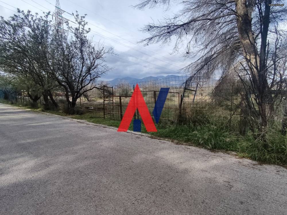 Αγροτεμάχια 4.300 τ.μ. πρός ενοικίαση, Αθήνα - Βόρεια Προάστια, Νέα Ερυθραία