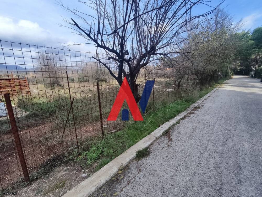Αγροτεμάχια 4.300 τ.μ. πρός ενοικίαση, Αθήνα - Βόρεια Προάστια, Νέα Ερυθραία