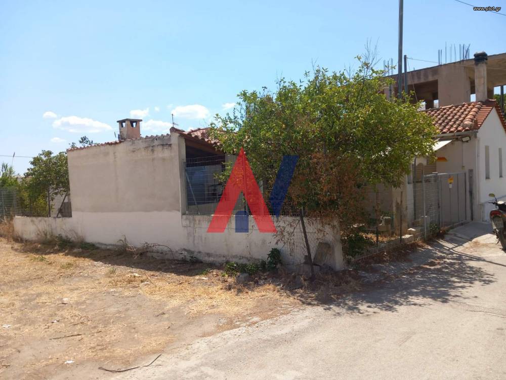 Μονοκατοικία 120 τ.μ. προς πώληση, Χιλιομόδι Τενέας