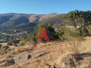 Οικόπεδο 4.100 τ.μ. για πώληση, Εύβοια, Στύρα-thumb-9