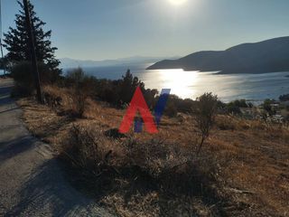 Οικόπεδο 4.100 τ.μ. για πώληση, Εύβοια, Στύρα-thumb-10
