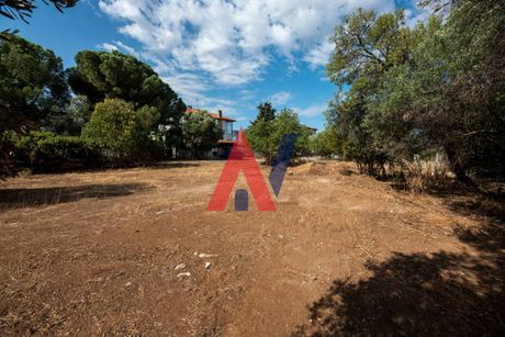 Οικόπεδο 2.280τ.μ. για πώληση-Θέρμη » Τριάδιο