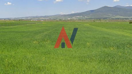 Αγροτεμάχια 4.650τ.μ. για πώληση-Θέρμη » Σουρωτή