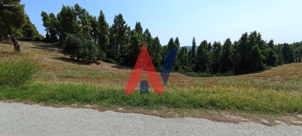 Αγροτεμάχια 4.308 τ.μ. προς πώληση, Κασσάνδρεια