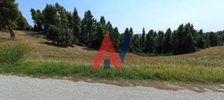 Αγροτεμάχια 4.308 τ.μ. για πώληση