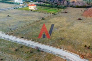 Αγροτεμάχια 5.000 τ.μ. για πώληση