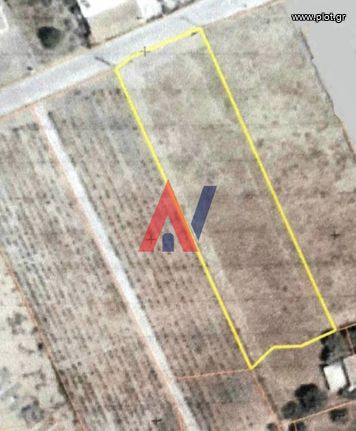 Land plot 3 sqm for rent, Athens - East, Koropi