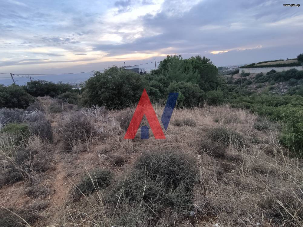 Αγροτεμάχια 2.800 τ.μ. πρός πώληση, Θεσσαλονίκη - Περιφ/Κοί Δήμοι, Πανόραμα