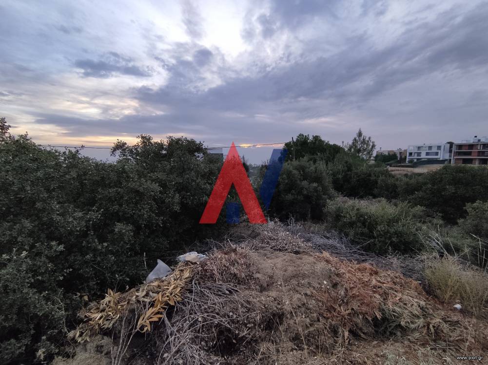 Αγροτεμάχια 2.800 τ.μ. πρός πώληση, Θεσσαλονίκη - Περιφ/Κοί Δήμοι, Πανόραμα