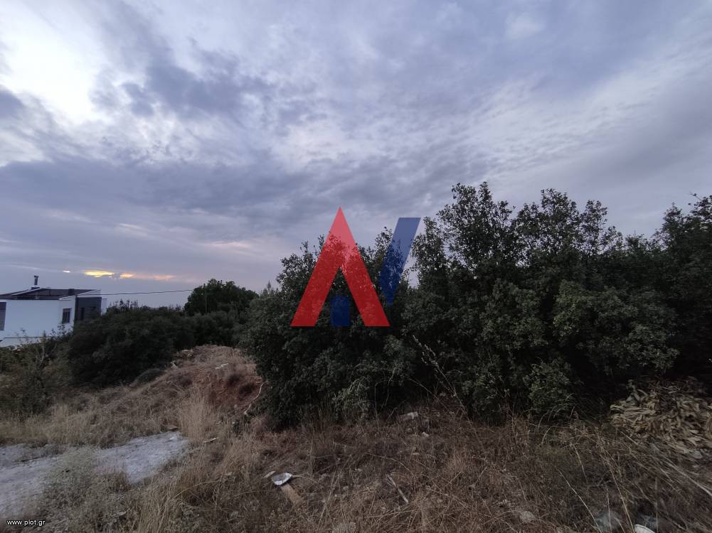 Αγροτεμάχια 2.800 τ.μ. πρός πώληση, Θεσσαλονίκη - Περιφ/Κοί Δήμοι, Πανόραμα