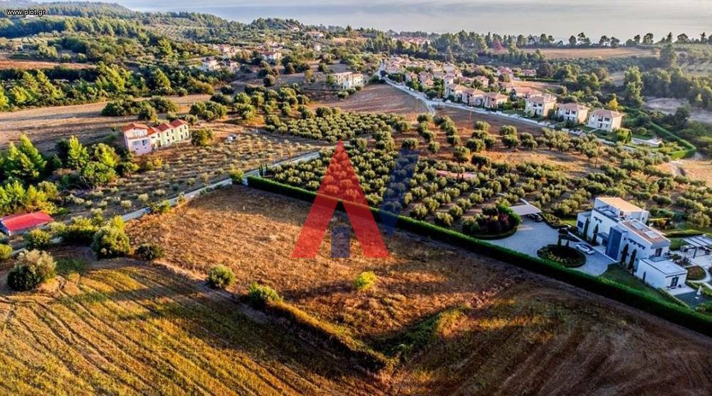 Αγροτεμάχια 8.710 τ.μ. προς πώληση, Κρυοπηγή Κασσάνδρας