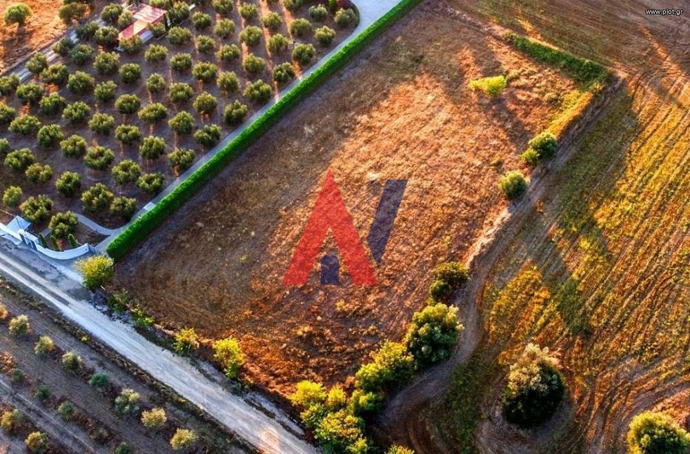 Αγροτεμάχια 8.710 τ.μ. προς πώληση, Κρυοπηγή Κασσάνδρας