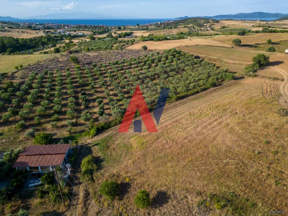 Αγροτεμάχια 12.190 τ.μ. προς πώληση, Τρυπητή Χαλκιδικής
