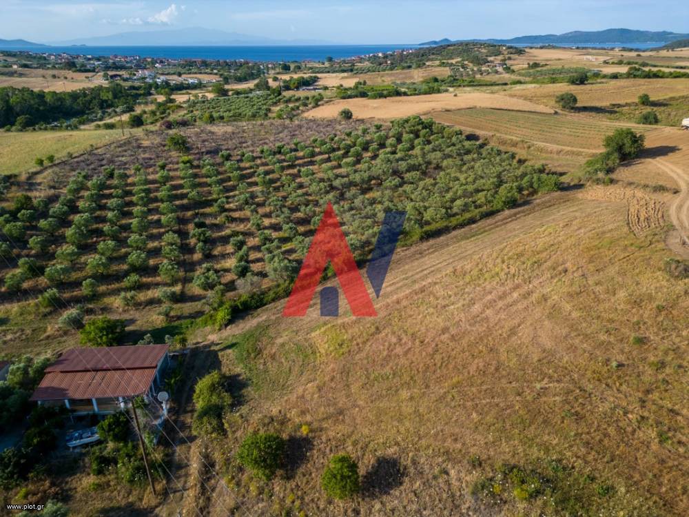 Αγροτεμάχια 12.190 τ.μ. προς πώληση, Τρυπητή Χαλκιδικής