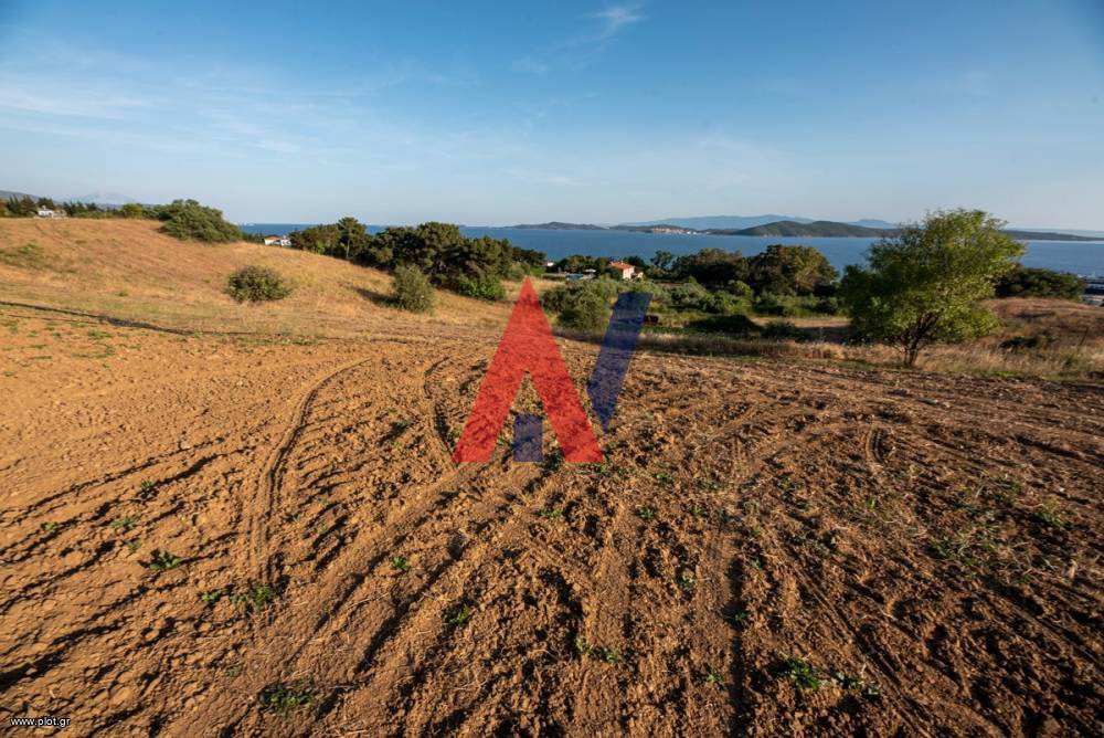 Αγροτεμάχια 12.190 τ.μ. προς πώληση, Τρυπητή Χαλκιδικής