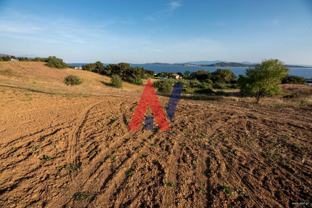 Αγροτεμάχια 9.452 τ.μ. προς πώληση, Τρυπητή Χαλκιδικής