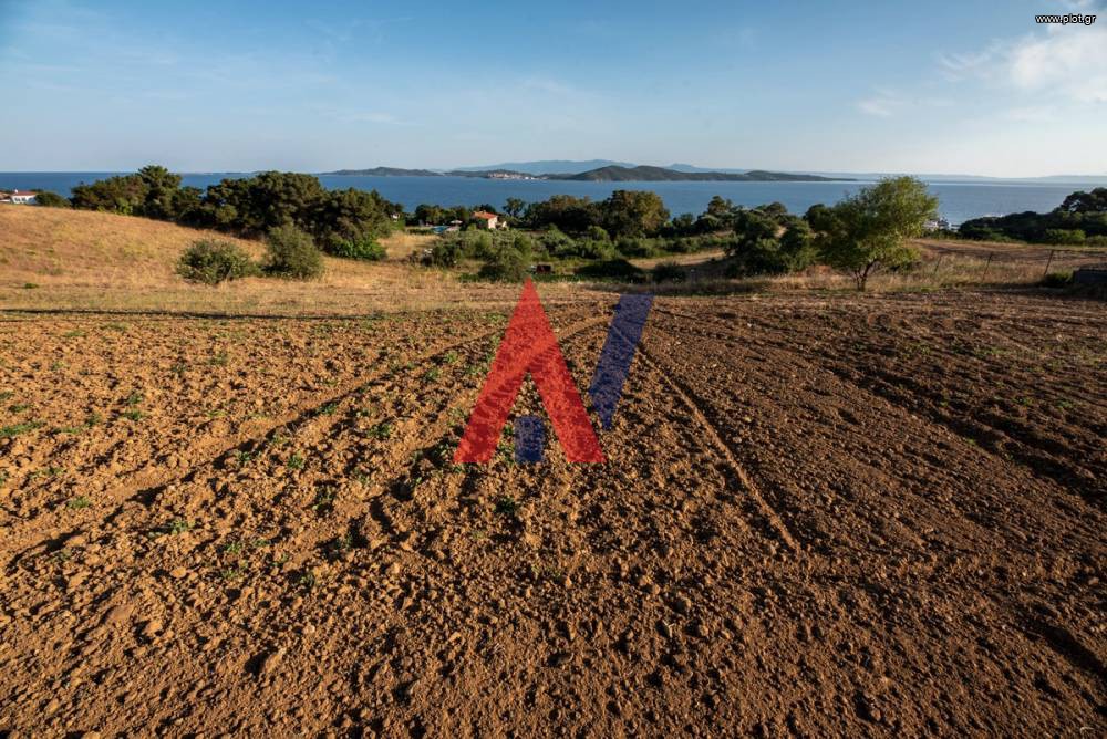 Αγροτεμάχια 9.452 τ.μ. προς πώληση, Τρυπητή Χαλκιδικής