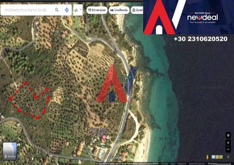 Αγροτεμάχια 10.064 τ.μ. για πώληση